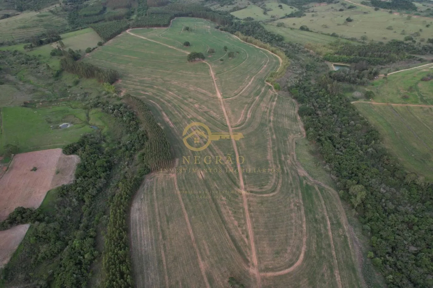 Fazenda Produtiva em Echaporã: Oportunidade Imperdível! — foto 3