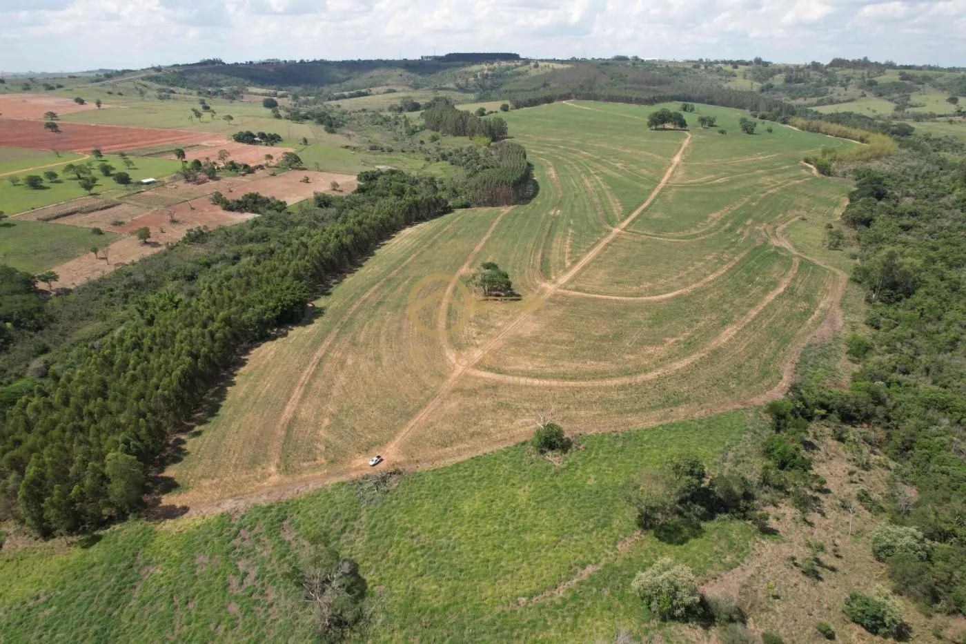 Fazenda Produtiva em Echaporã: Oportunidade Imperdível! — foto 4