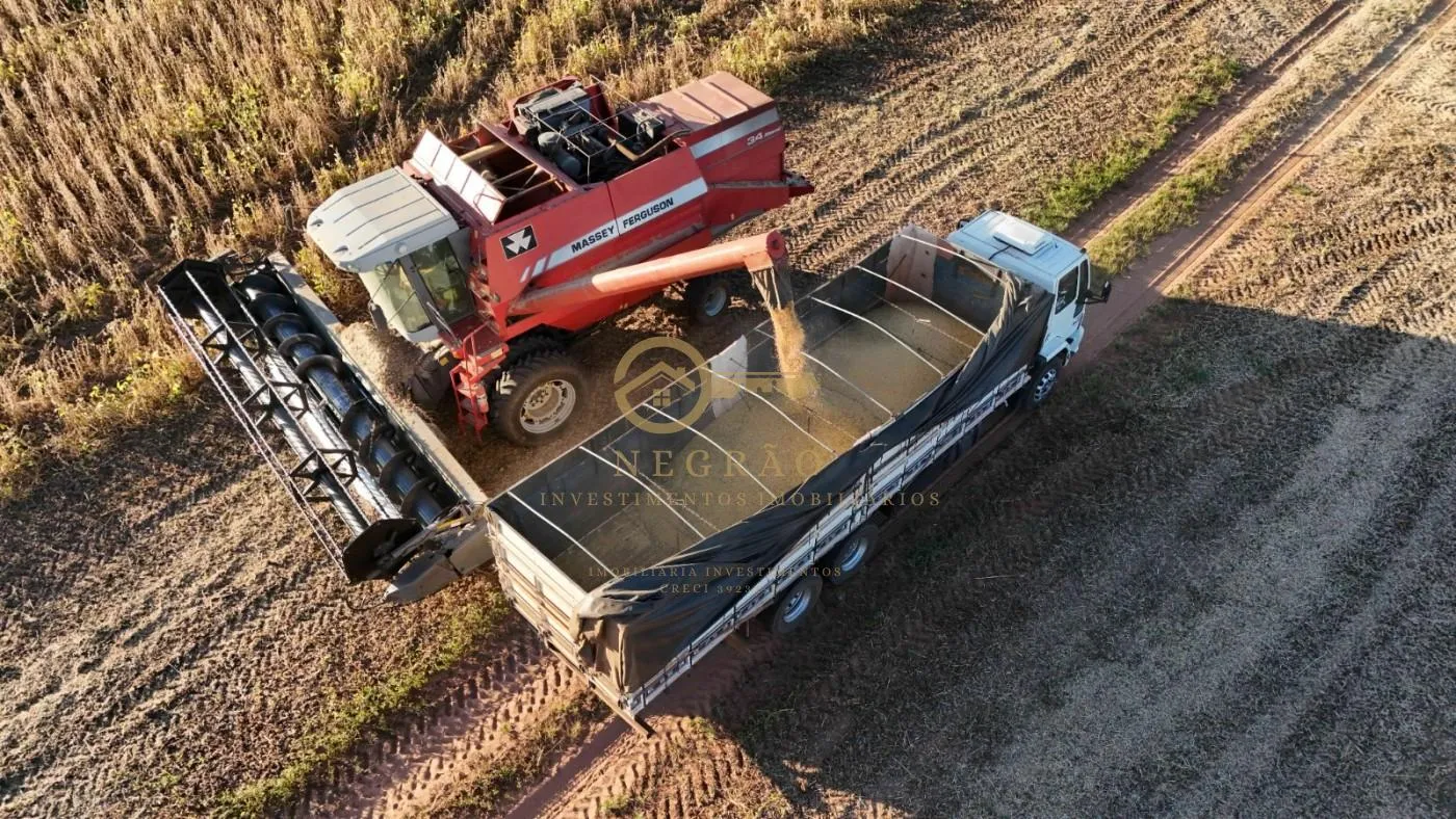 Fazenda Produtiva em Echaporã: Oportunidade Imperdível! — foto 5