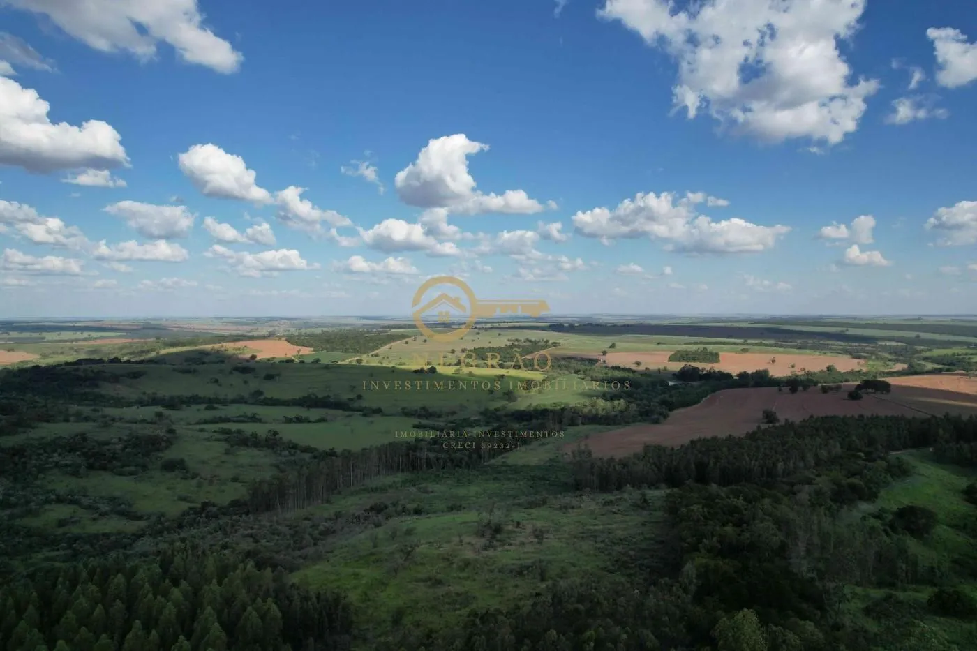 Fazenda Produtiva em Echaporã: Oportunidade Imperdível! — foto 6