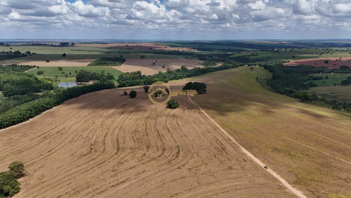 Fazenda Produtiva em Echaporã: Oportunidade Imperdível! — foto 7