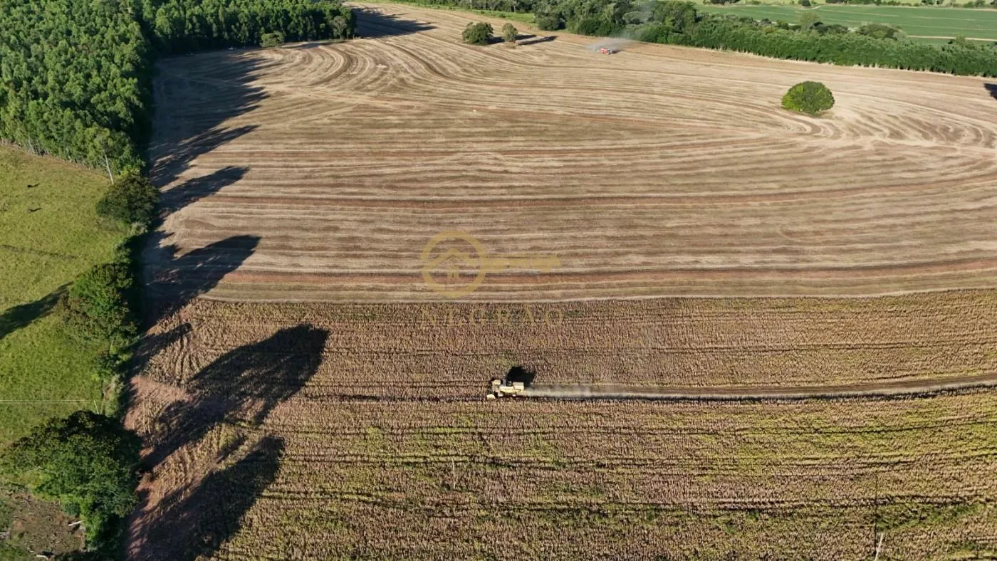 Fazenda Produtiva em Echaporã: Oportunidade Imperdível! — foto 8