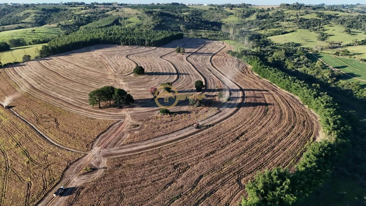 Fazenda Produtiva em Echaporã: Oportunidade Imperdível! — foto 9