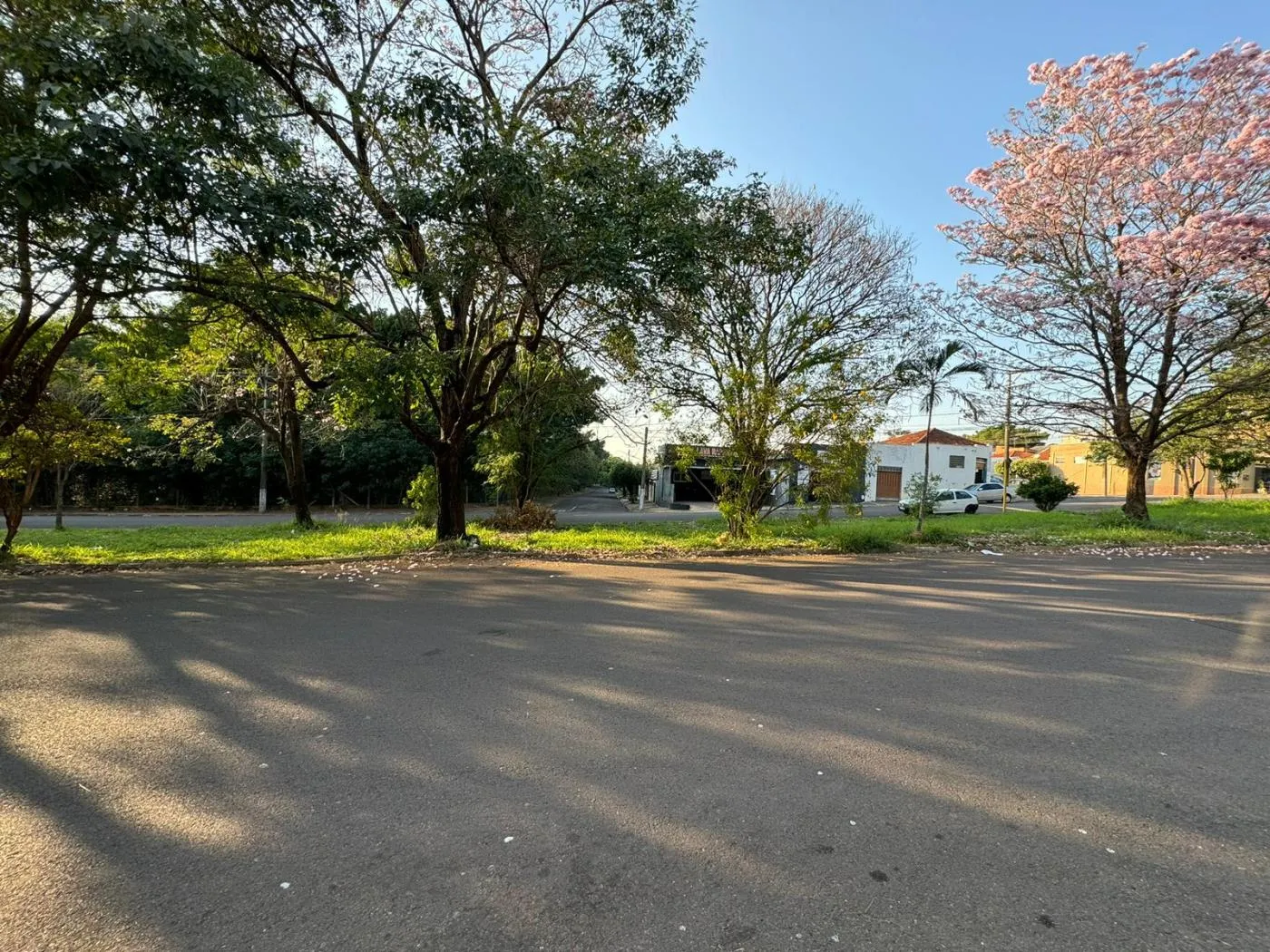 Oportunidade: Comercial à Venda em Presidente Prudente! — foto 15