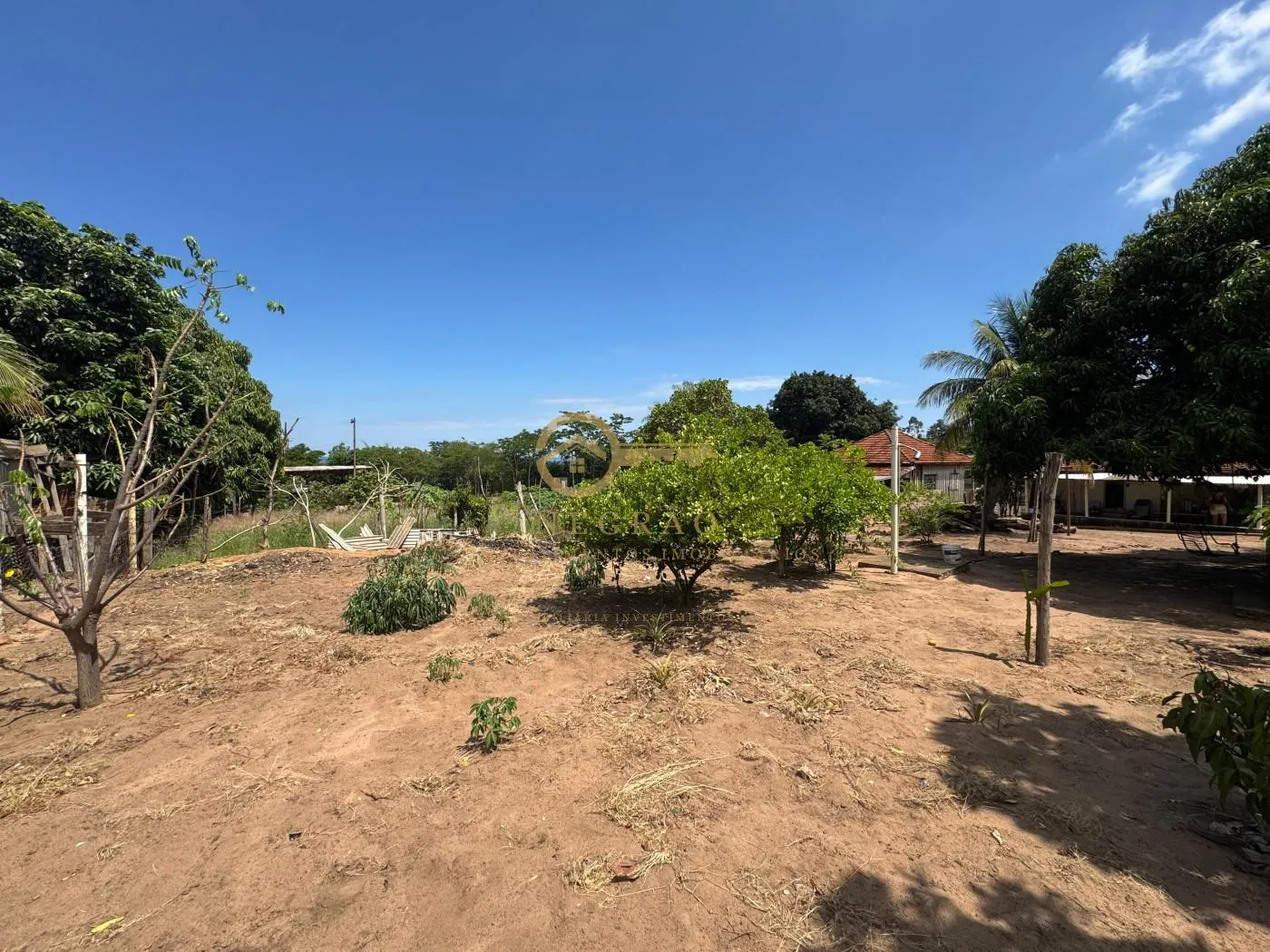 Terreno Amplo em Vila Porto Tibiriçá - Oportunidade Única! — foto 5
