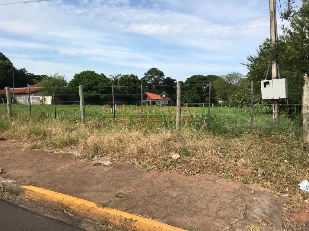 Terreno Espaçoso em Martinópolis - Oportunidade Imperdível! — foto 5
