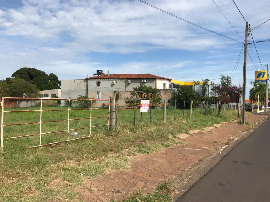 Terreno Espaçoso em Martinópolis - Oportunidade Imperdível! — foto 7