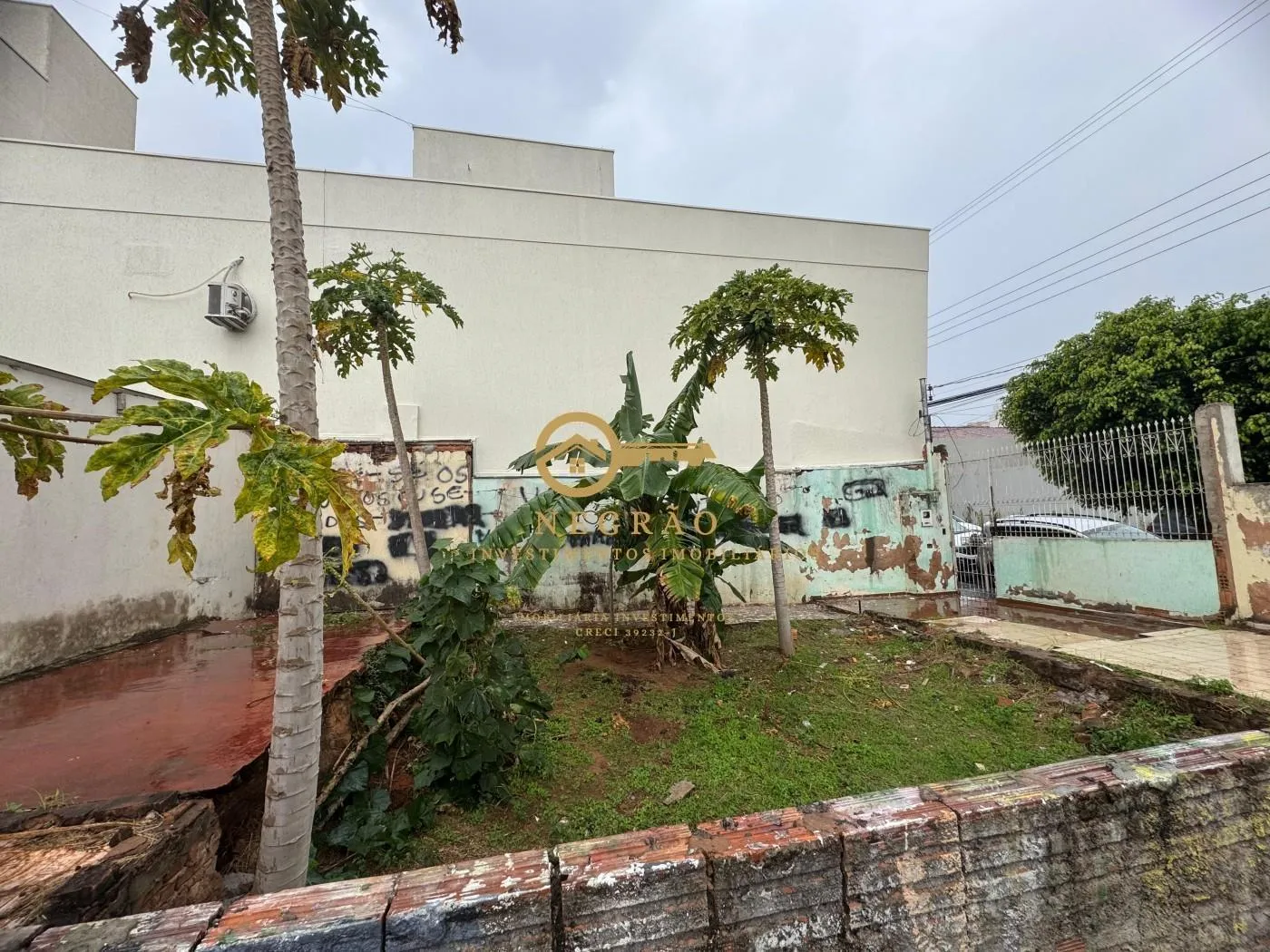 Casa Charmosa na Vila Estádio - Oportunidade Imperdível! — foto 2